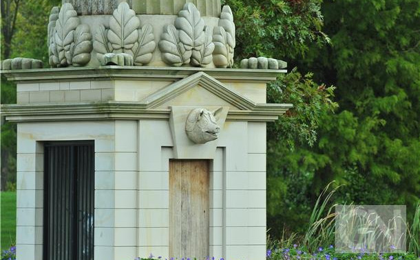 Bad Bentheim Schwein