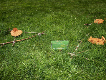 Verhalendragers komen tot leven!