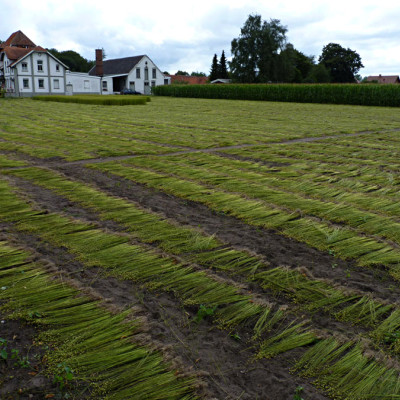 Waren langs de Vecht